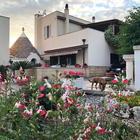 Casa Delle Rondini Bed & Breakfast Alberobello Dış mekan fotoğraf