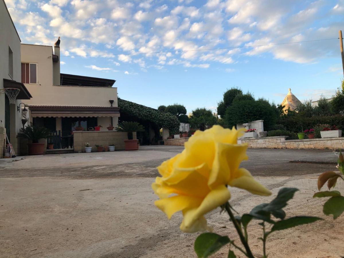 Casa Delle Rondini Bed & Breakfast Alberobello Dış mekan fotoğraf