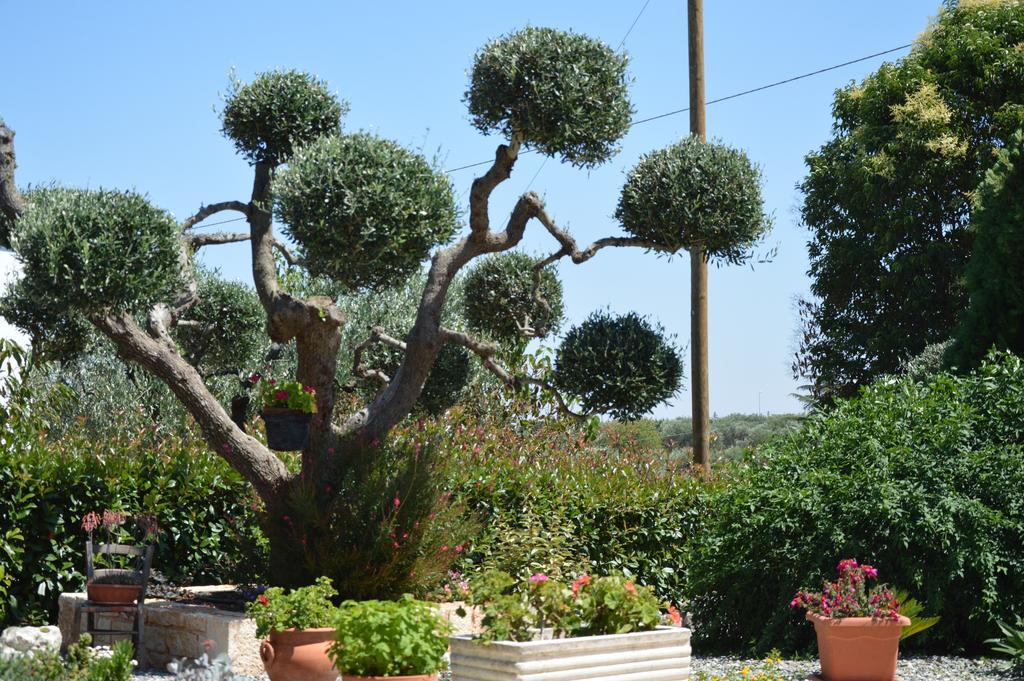 Casa Delle Rondini Bed & Breakfast Alberobello Dış mekan fotoğraf