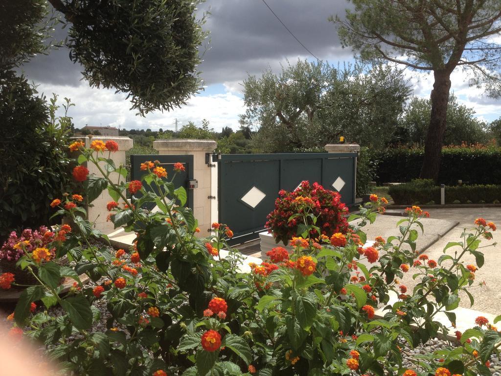 Casa Delle Rondini Bed & Breakfast Alberobello Dış mekan fotoğraf