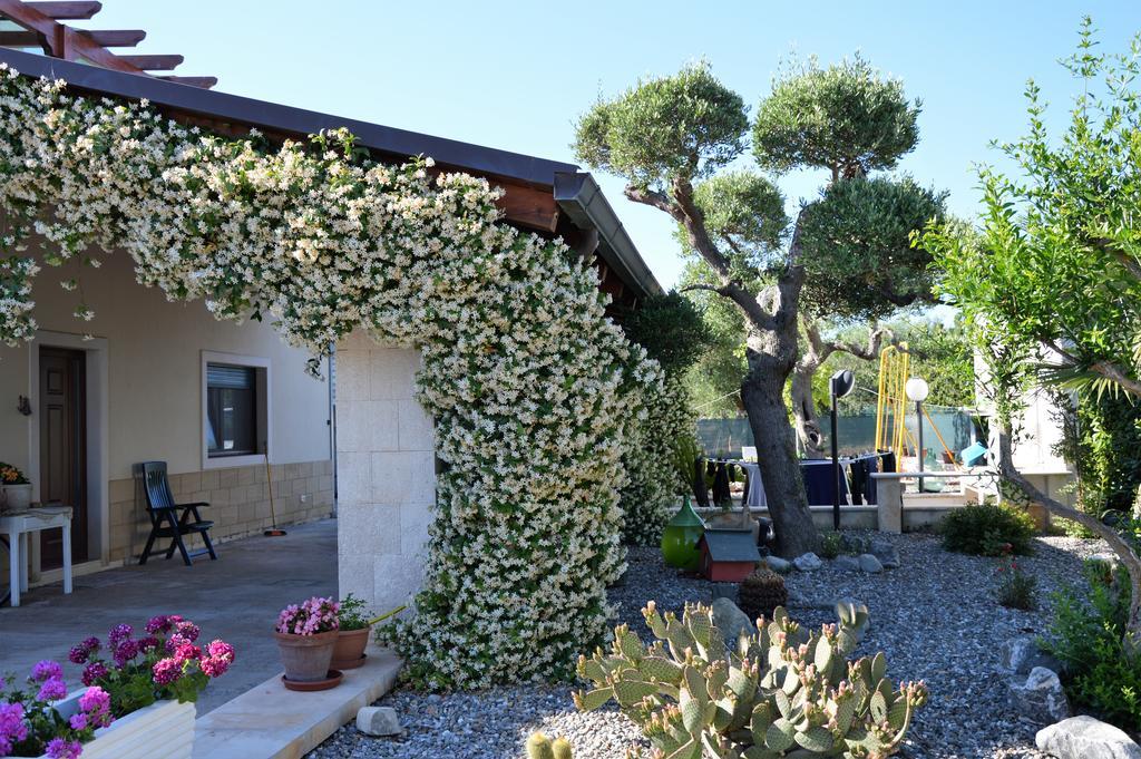Casa Delle Rondini Bed & Breakfast Alberobello Dış mekan fotoğraf