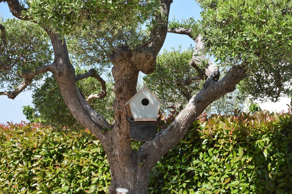 Casa Delle Rondini Bed & Breakfast Alberobello Dış mekan fotoğraf